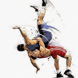 Compare sambo and freestyle wrestling | What's better