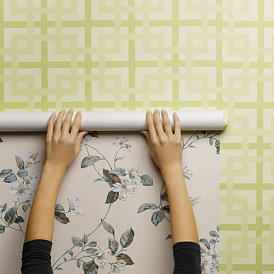 7 best adhesives for non-woven wallpaper